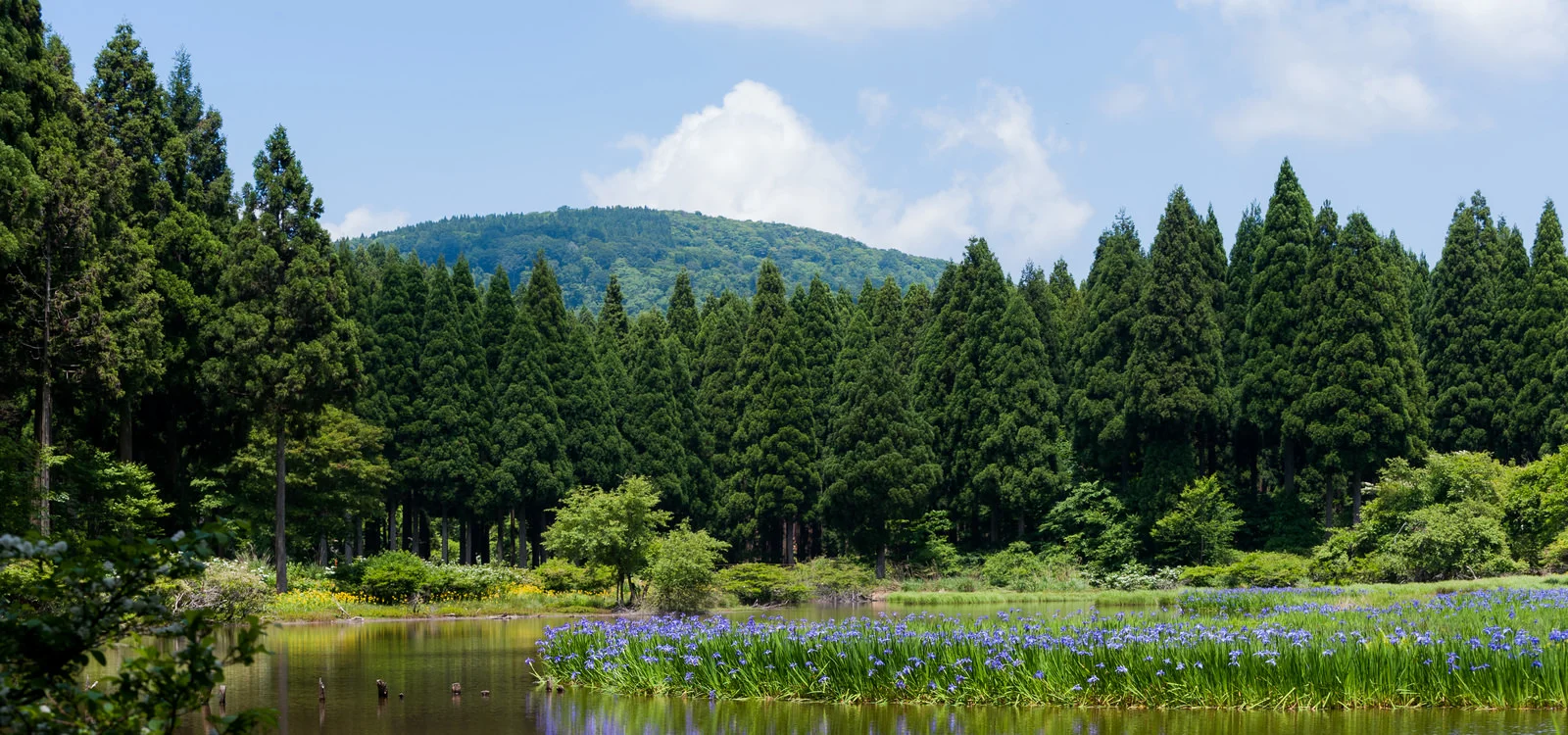 相続税の計算と対策